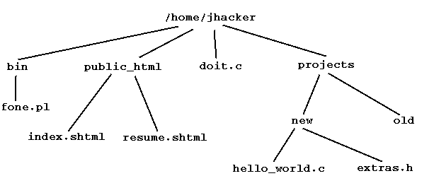 sample UNIX tree