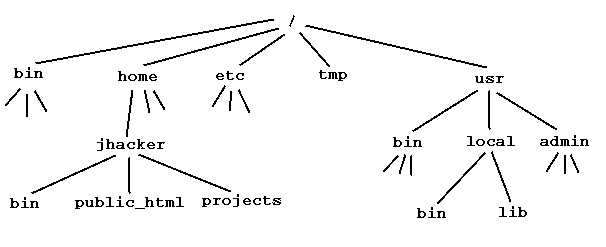 UNIX directory tree